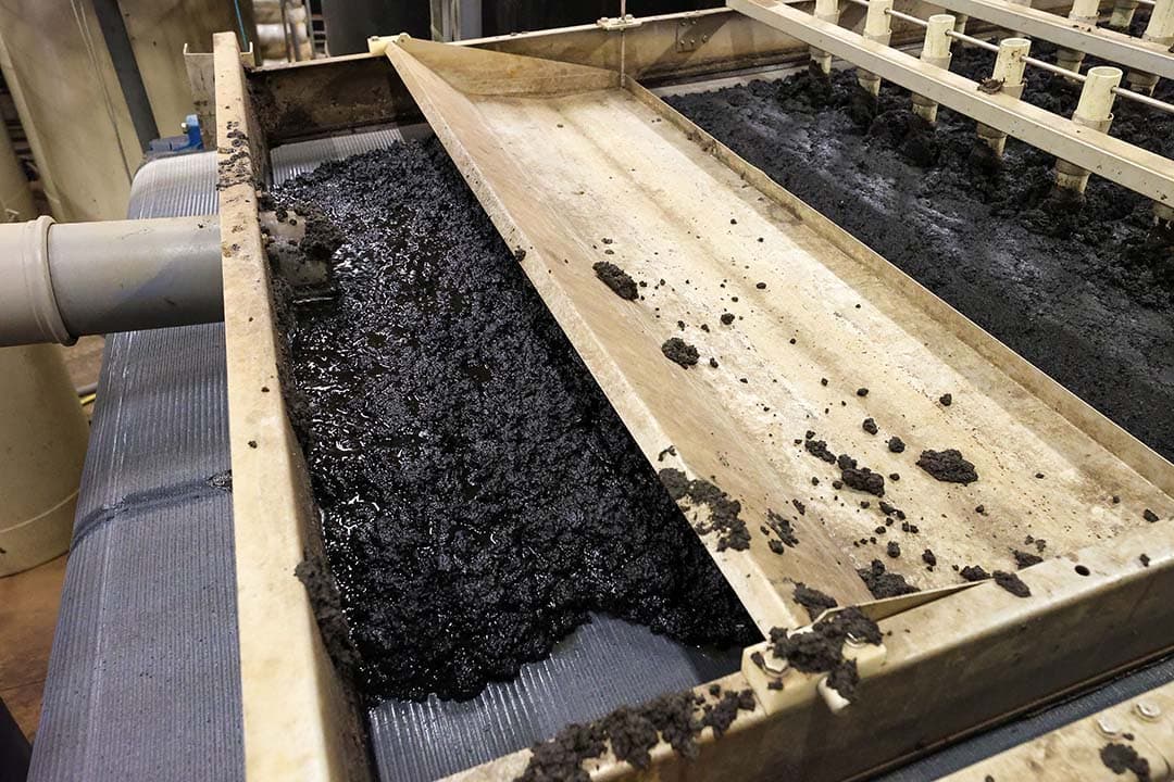 Veehouders die niet voldoen aan de mestverwerkingsplicht kunnen die afkopen met VVO's. - Foto: Bert Jansen