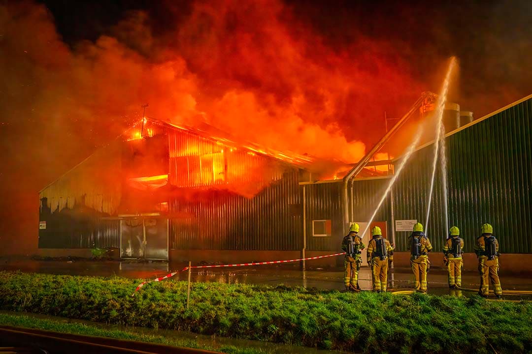 Foto: Bert Jansen