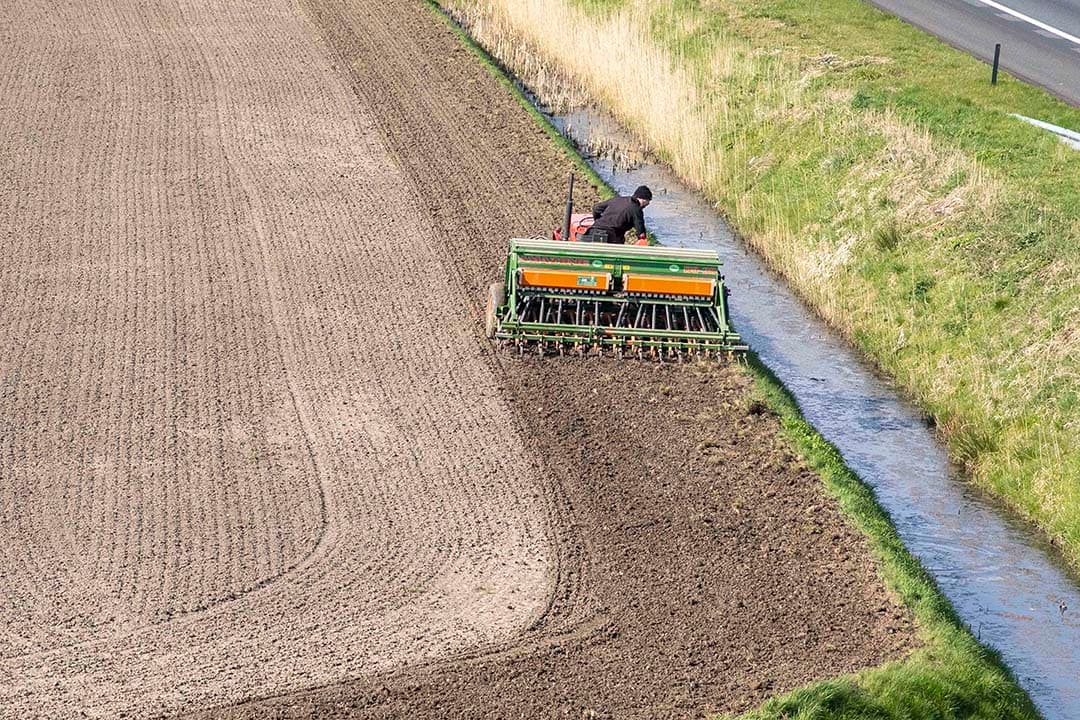 Inzaaien van bufferstroken met klaver. - Foto: Koos van der Spek