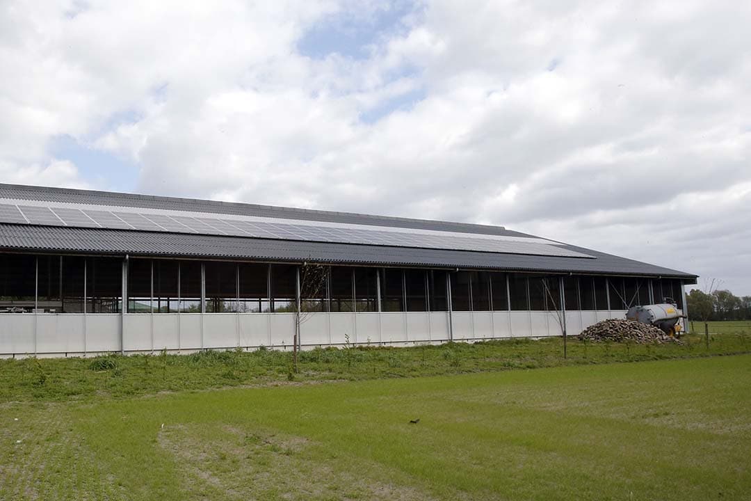Het instellen van een nieuwe stikstofdrempel voor vergunningen voor bijvoorbeeld een nieuwe stal is wetenschappelijk en juridisch complex. - Foto: Bert Jansen