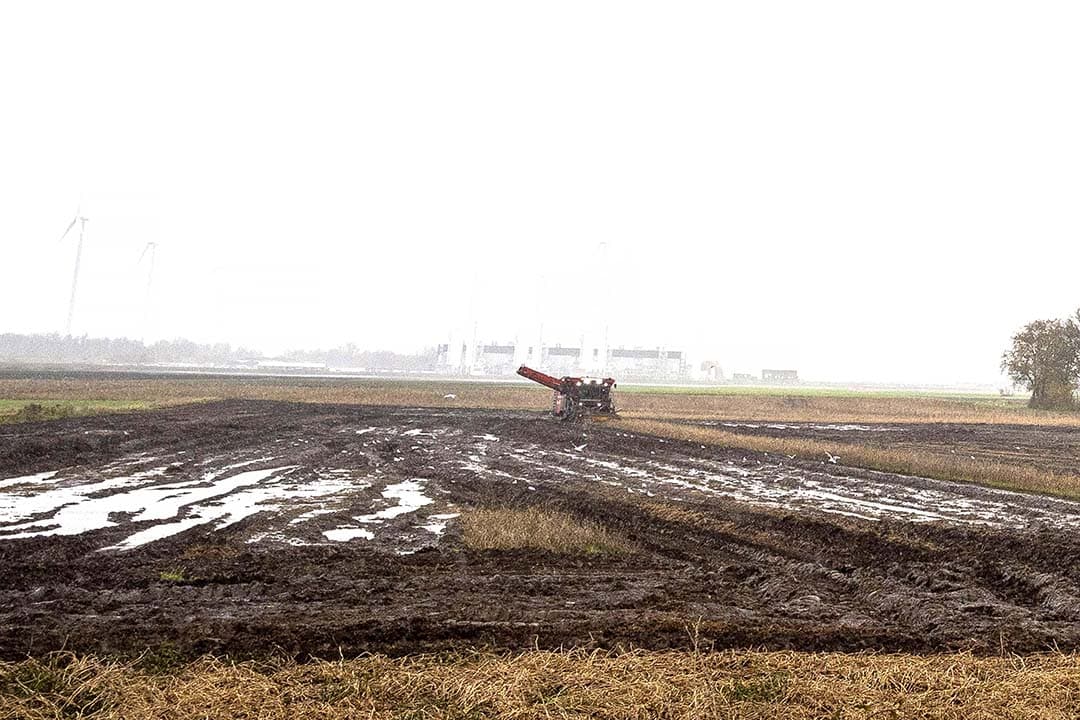 akkerbouw en regenval