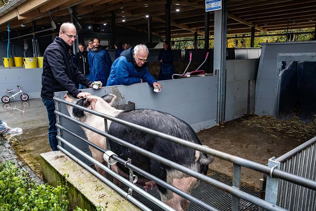 mestmarkt beleid