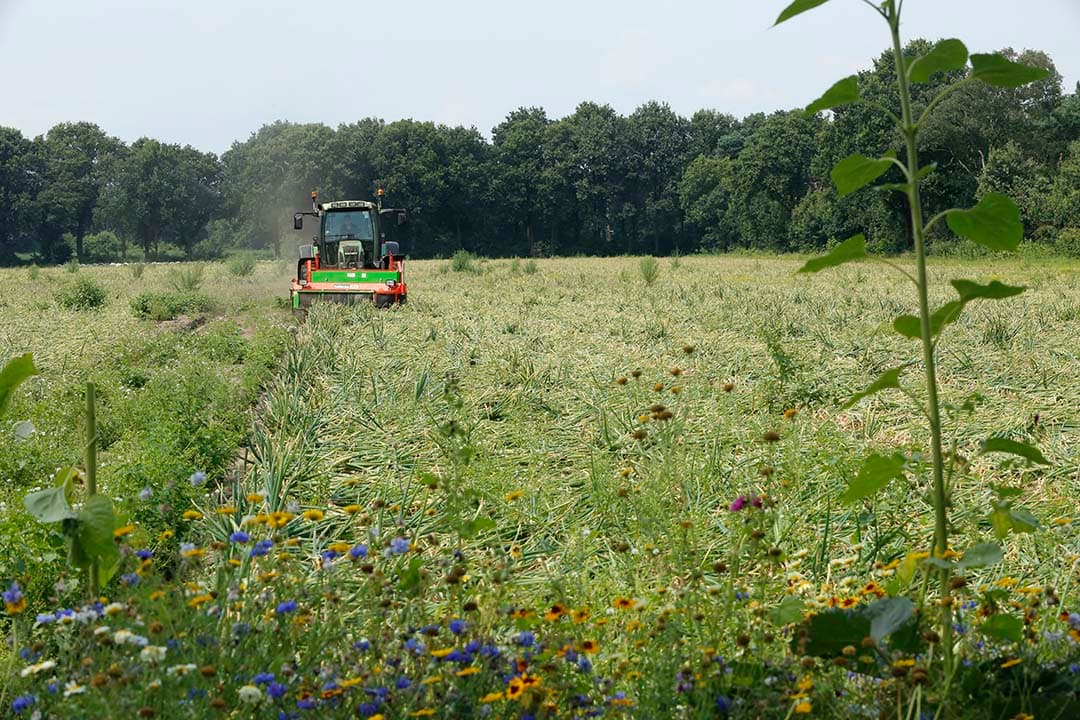 Landschap