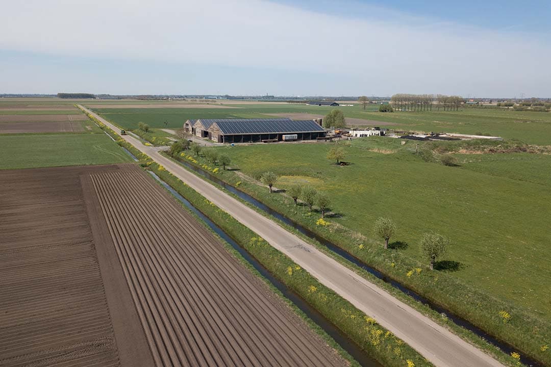 Foto: Peter Roek