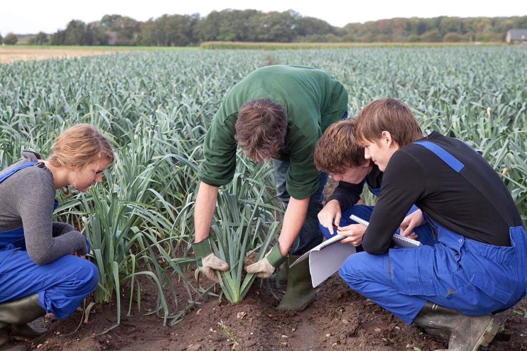 Hedendaags landbouwonderzoek, beïnvloed door beleid en gericht op actuele thema's zoals bodem en stikstof, wordt uitgevoerd in korte projecten van drie tot vier jaar. - Foto: Canva