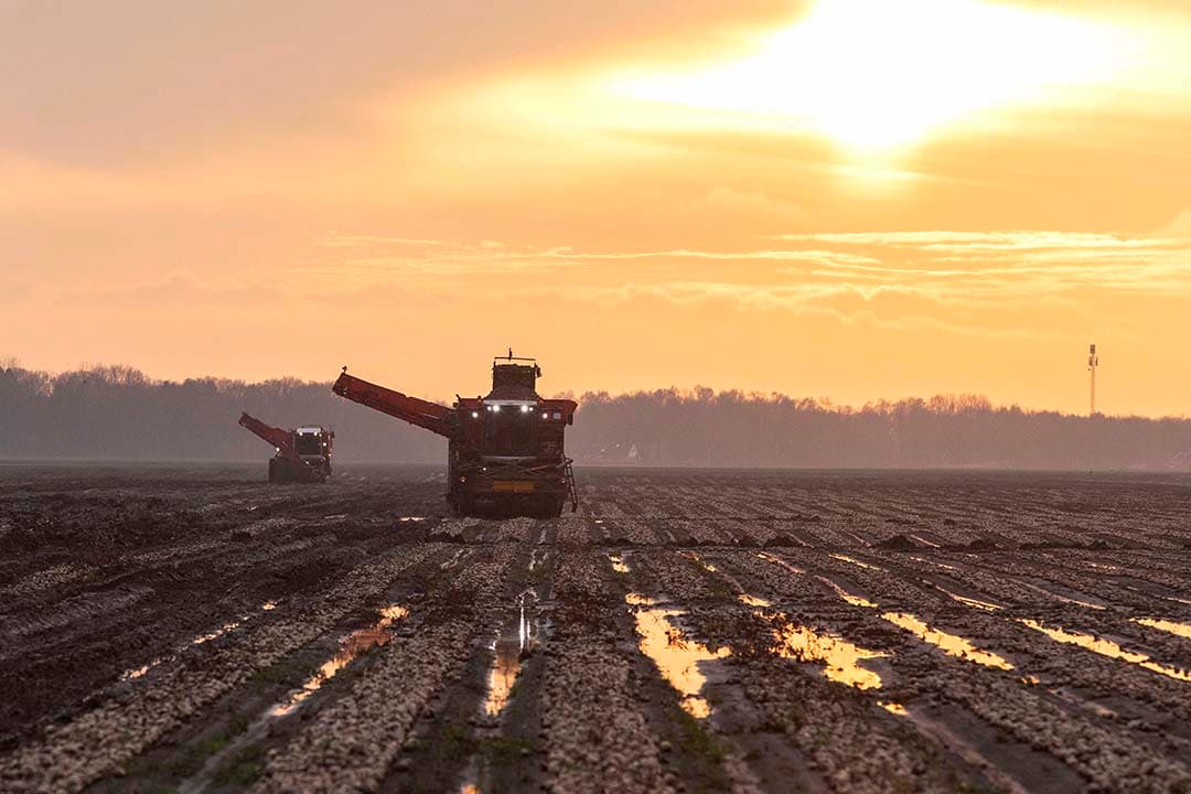 Uien laden onder zeer natte omstandigheden bij Adriaan Sandee uit Onstwedde (Gr.). 2023 was een slecht jaar voor de open teelten met lange koude, droge én natte periodes. - Foto: Koos van der Spek