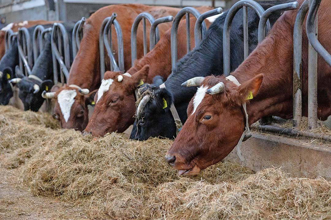 areaal biologische landbouw 2023