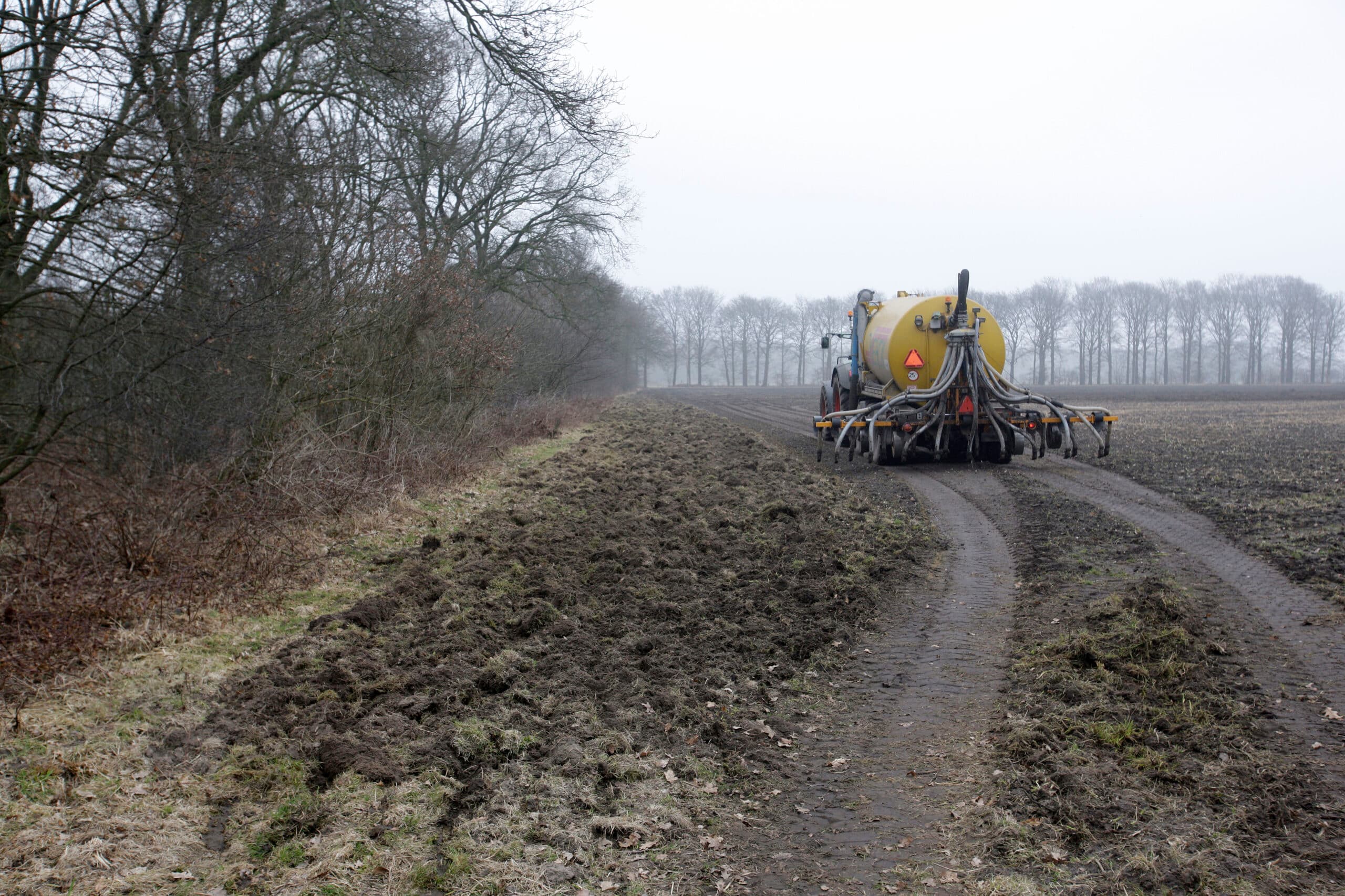 afzet mest landbouw