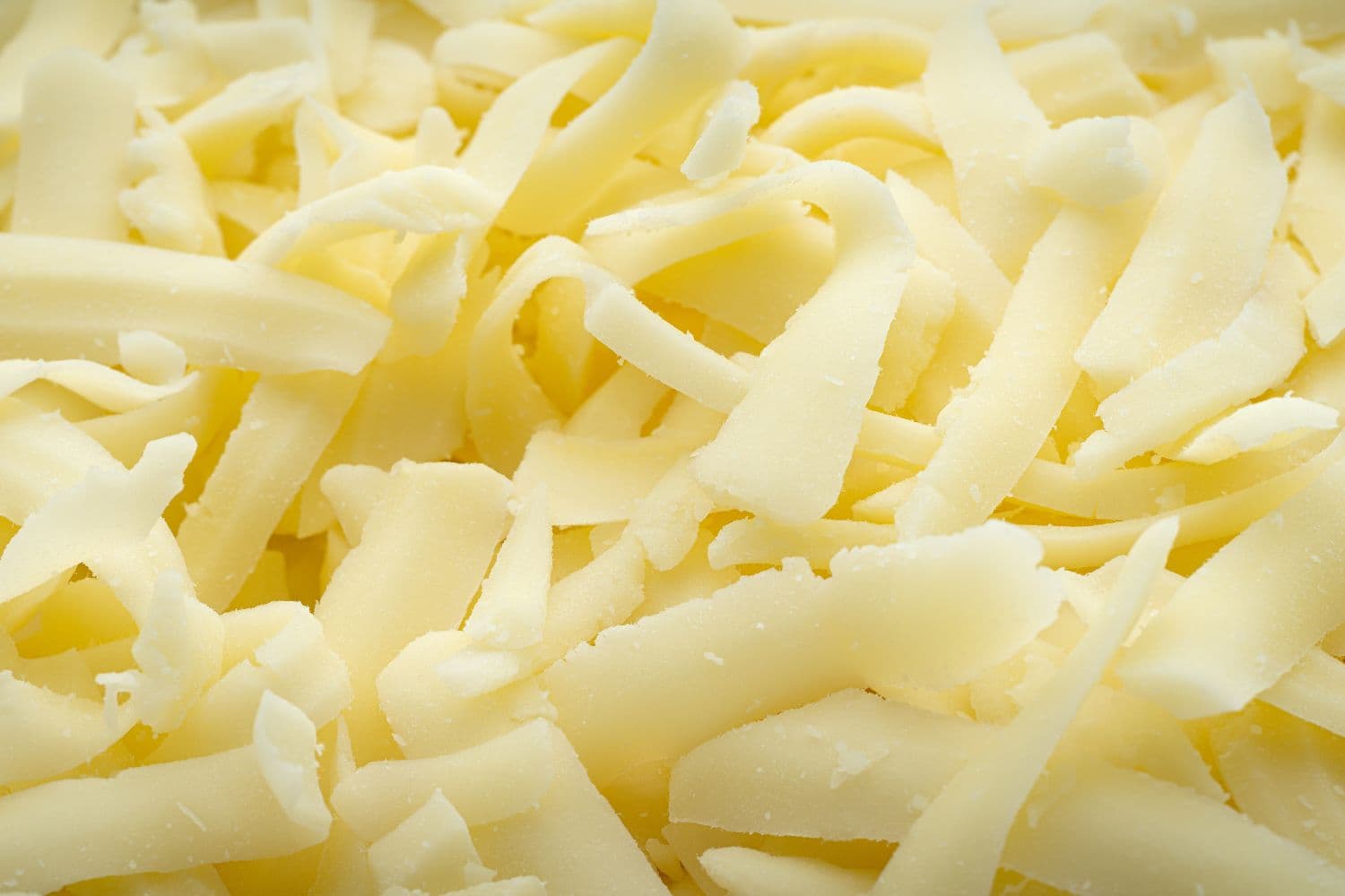 mozzarella