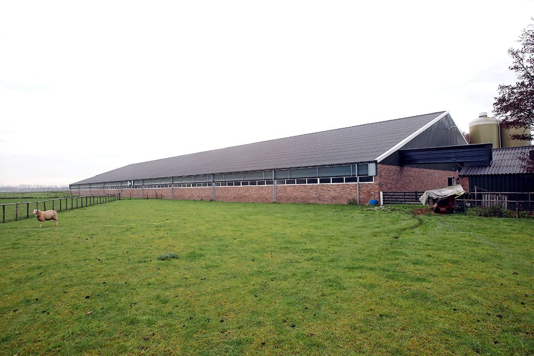 Een vleesvarkensstal in Noord-Brabant. Veel varkenshouders in de provincie zijn in afwachting van een vergunning voor het emissiearmer maken van hun bedrijf. - Foto's: Bert Jansen