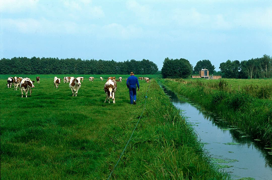 Overijssel Provinciaal Programma Landelijk Gebied