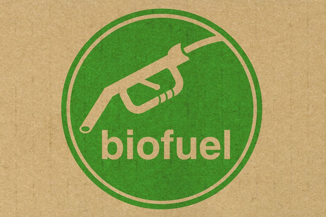 Ondanks eerdere verwachtingen dat biobrandstoffen Europa minder afhankelijk zouden maken van externe energieleveranciers, blijkt nu het tegendeel waar. - Foto: Canva