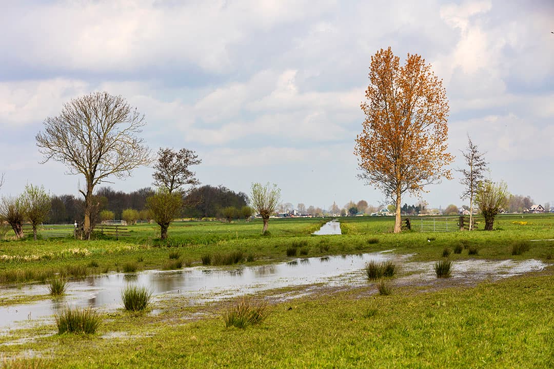 Minister Christianne van der Wal zegt dat het mogelijk is om geld uit het transitiefonds in te zetten voor langjarige contracten agrarisch natuurbeheer. - Foto: Roel Dijkstra