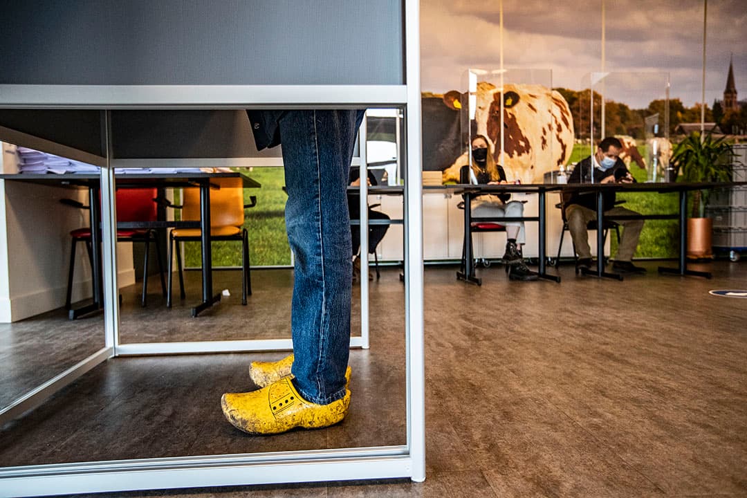 Èuropese verkiezingen BBB EVP