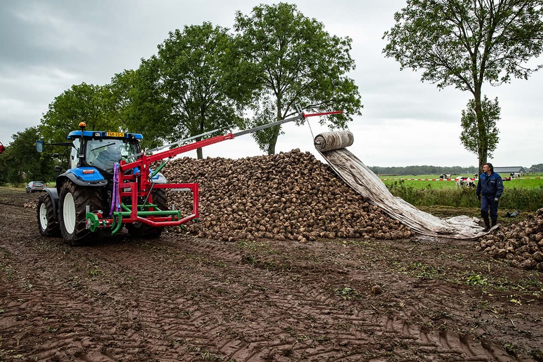 Suikerbieten bewaren