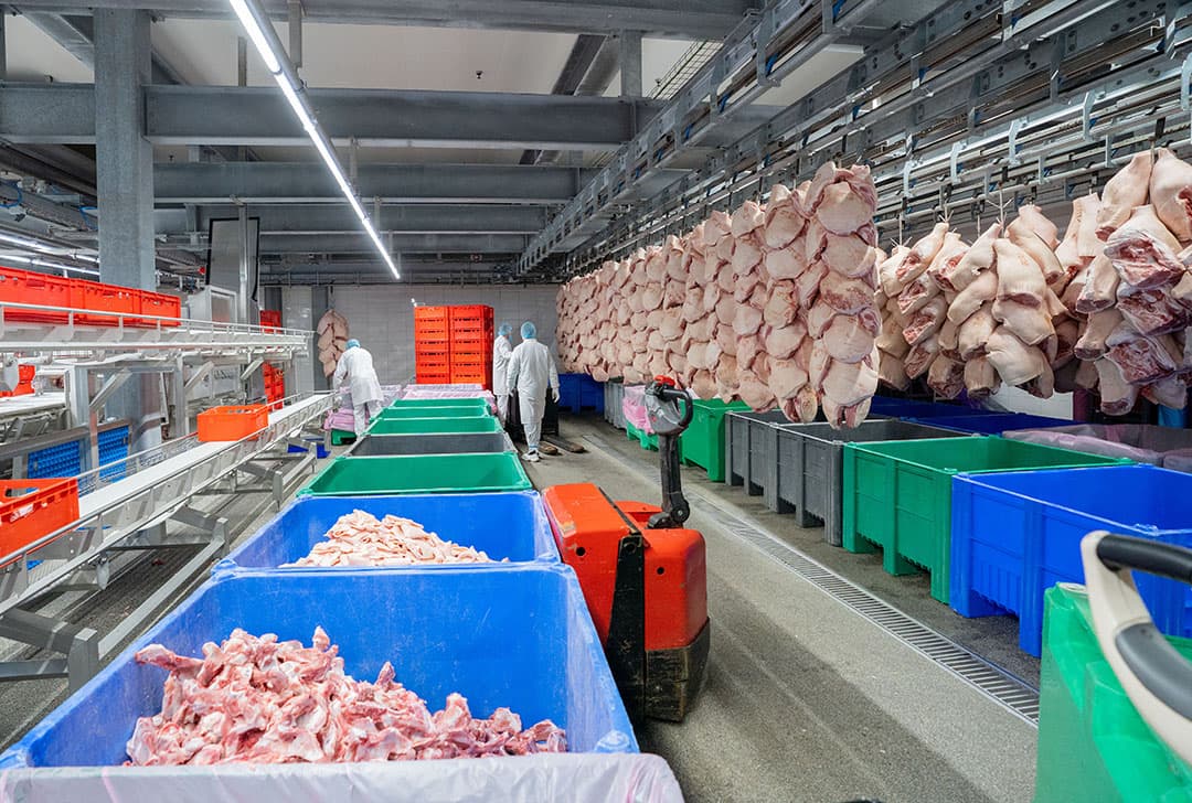 Hammen zijn belangrijke exportproducten voor Compaxo. Het bedrijf heeft een stevige positie in Zuid-Europa en het Verenigd Koninkrijk.