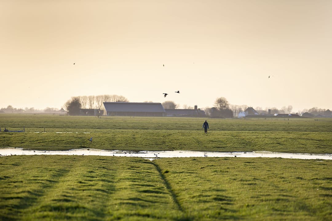 landbouwbeleid nederland