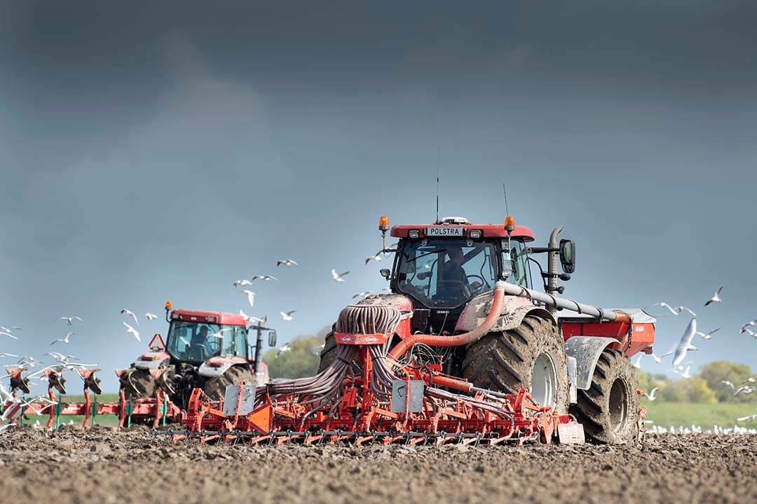 Ploegen en zaaien van wintertarwe. - Foto: Mark Pasveer