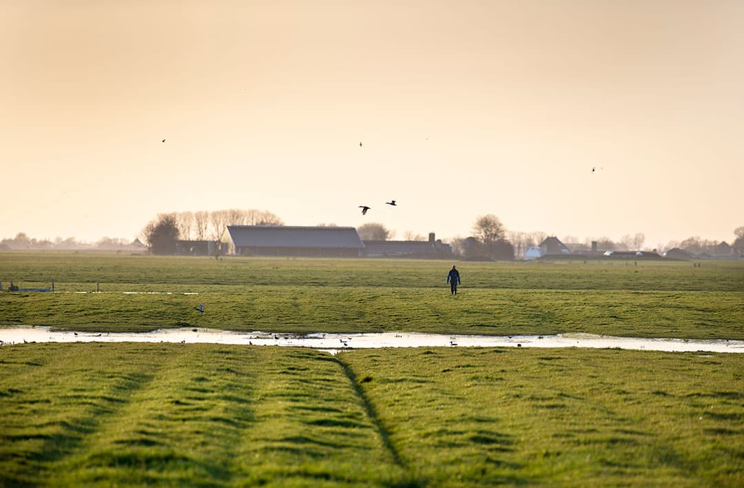 Foto: Mark Pasveer