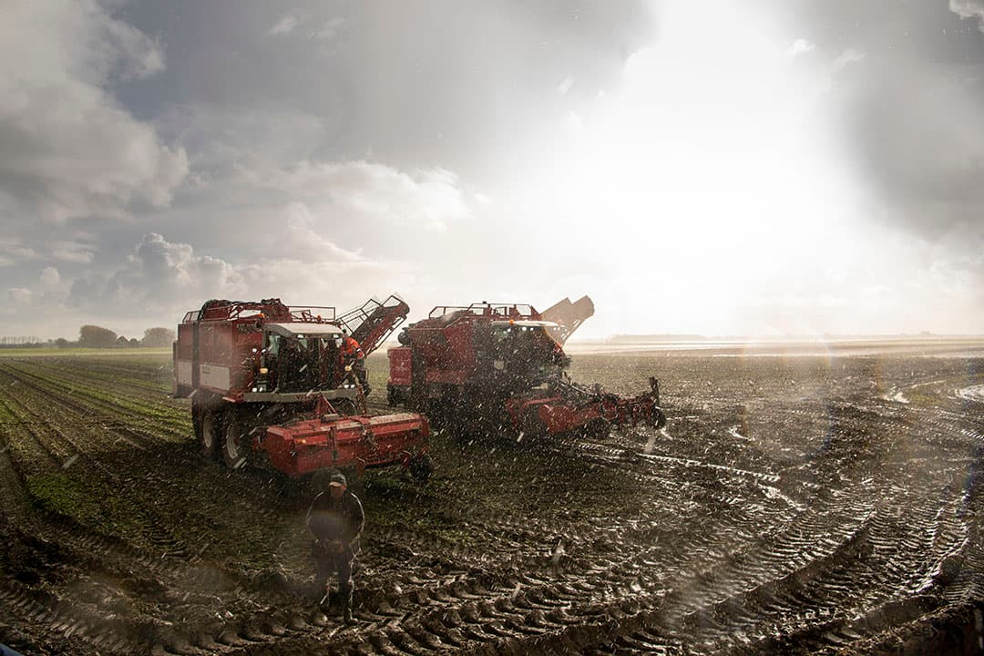 Bekius Agro in Minnertsga (Fr.) rooide begin november 4,5 van het 7 hectare grote perceel bieten voordat het rooien werd stopgezet vanwege de weersomstandigheden. Te veel tarra (20%) deed Jochum Bekius besluiten dat het verstandiger was te stoppen dan verder aan te modderen. - Foto: Mark Pasveer