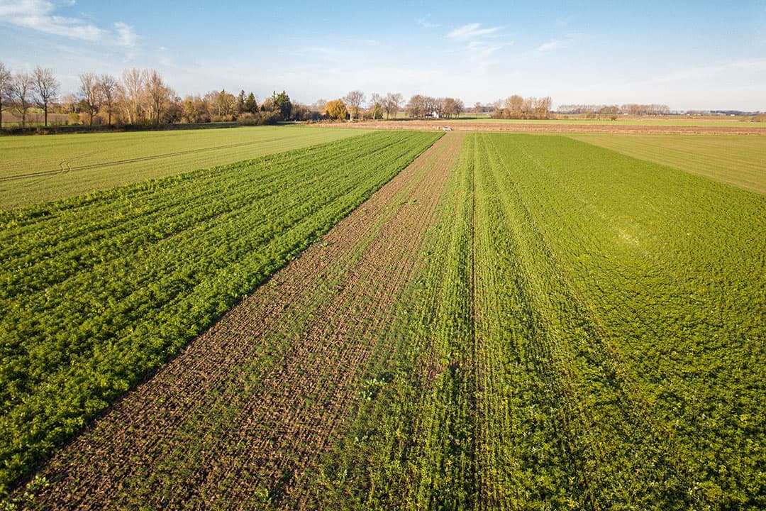 Landelijk steeg het gemiddelde prijsniveau van landbouwgrond in het derde kwartaal van dit jaar naar € 77.600 per hectare. Dat betekende een prijsstijging van 3% ten opzichte van het derde kwartaal van vorig jaar. - Foto: Peter Roek