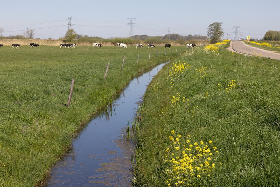 Foto: Peter Roek