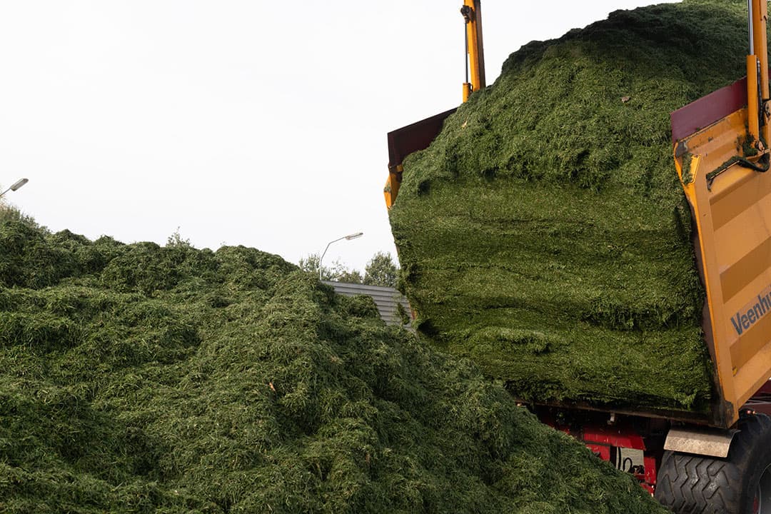 Door de recente sluiting van de vestiging in Opeinde is het totale aantal groenvoederdrogerijen in Nederland gedaald naar vijf. - Foto: Frank Uijlenbroek