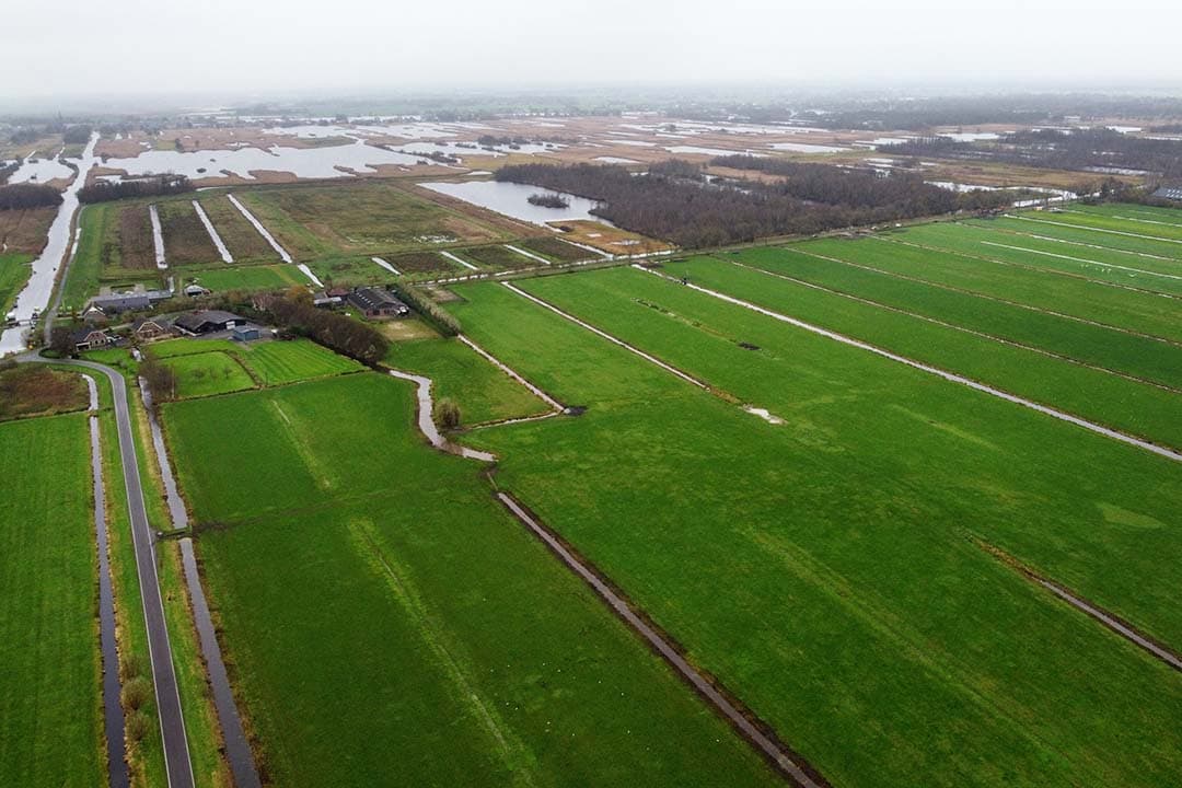 Foto: Herbert Wiggerman