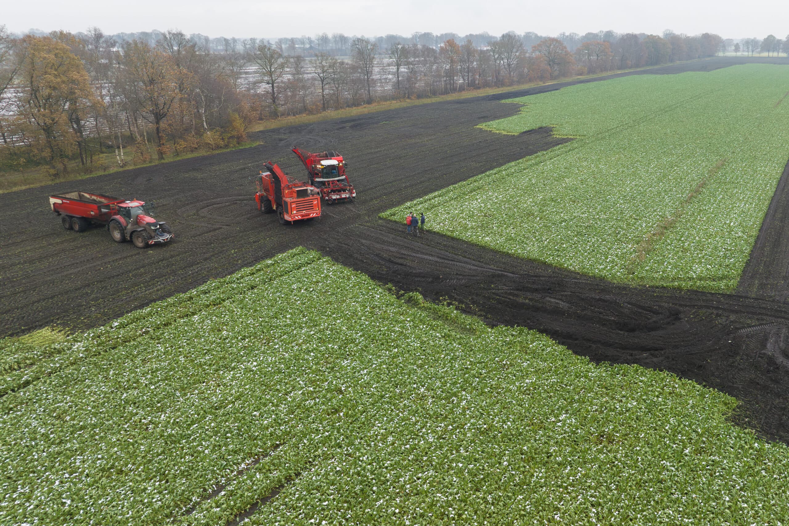 VOF Kuper en Maatschap Klaassen in Schoonebeek (Dr.) hebben samen een rooier om hun bieten te oogsten. Het gaat erg moeizaam, daarom schakelden ze de loonwerker in met een tweede rooier en een overlaadwagen. Het grootste deel van de bieten hebben ze er uit gekregen, een kleine 5 hectare was volgens Robin Kuper zelfs voor hun rupsrooier te nat. - Foto: Michel Velderman