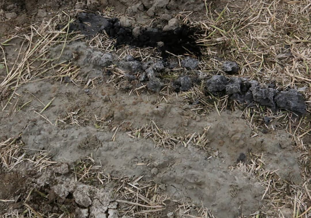 Bij ondiep ploegen op zandgrond kan de ploeg gaan zwabberen. Om dit tegen te gaan kunnen de zoolplaten los geschroefd worden en dieper worden gezet zodat de ploeg steviger in de grond ligt.