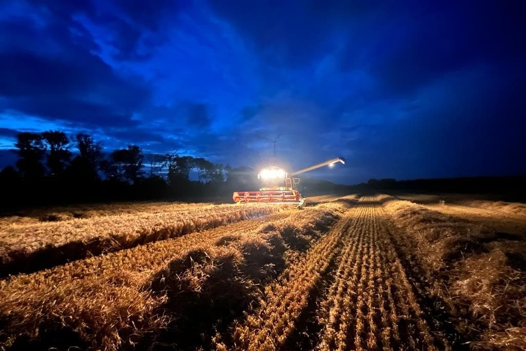 Laatste baantje zomergerst combinen op 19 juli. Op de achtergrond het dorpsbos van Biddinghuizen. - Foto: Tonnis Hilhorst