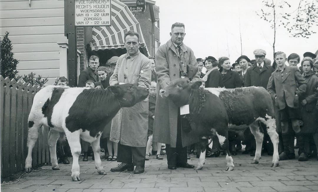 De keuring van stiertjes was vroeger vaak tegelijk met de veemarkt, meestal ergens centraal in dorp of stad. Dat is ook op de afbeelding te zien bij bijvoorbeeld het bord linksboven in beeld. Dat geeft voetgangers de instructie om op woensdag- en zondagavond rechts te houden. De kleding zegt ook iets over de tijdsgeest. De jeugd draagt weliswaar winterjassen, maar jongens dienden evengoed een korte broek aan te hebben. De leeftijd waarop de lange broek aan mocht, verschilde per streek. - Foto: Misset
