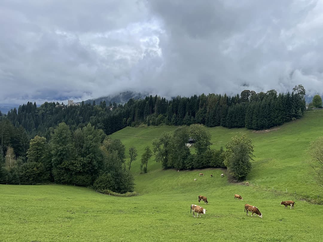 De melkveehouderij in Beieren, aan de voet van de Alpen, ervaart toenemende druk op haar voortbestaan. Zaken zoals milieu, economische factoren, regelgeving en de diverse belangen in rurale gebieden vormen zowel in Nederland als in de Alpen dagelijkse uitdagingen.