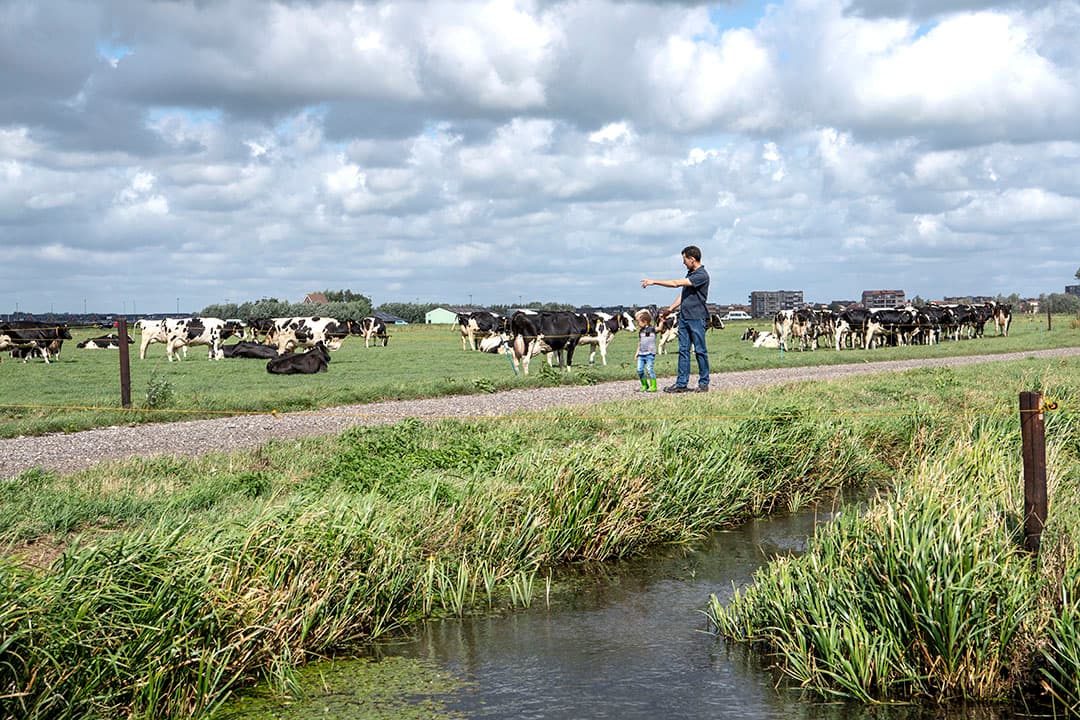 De betere gronden in Noord-Holland behoren tot de duurste van West-Nederland. - Foto: Cor Salverius