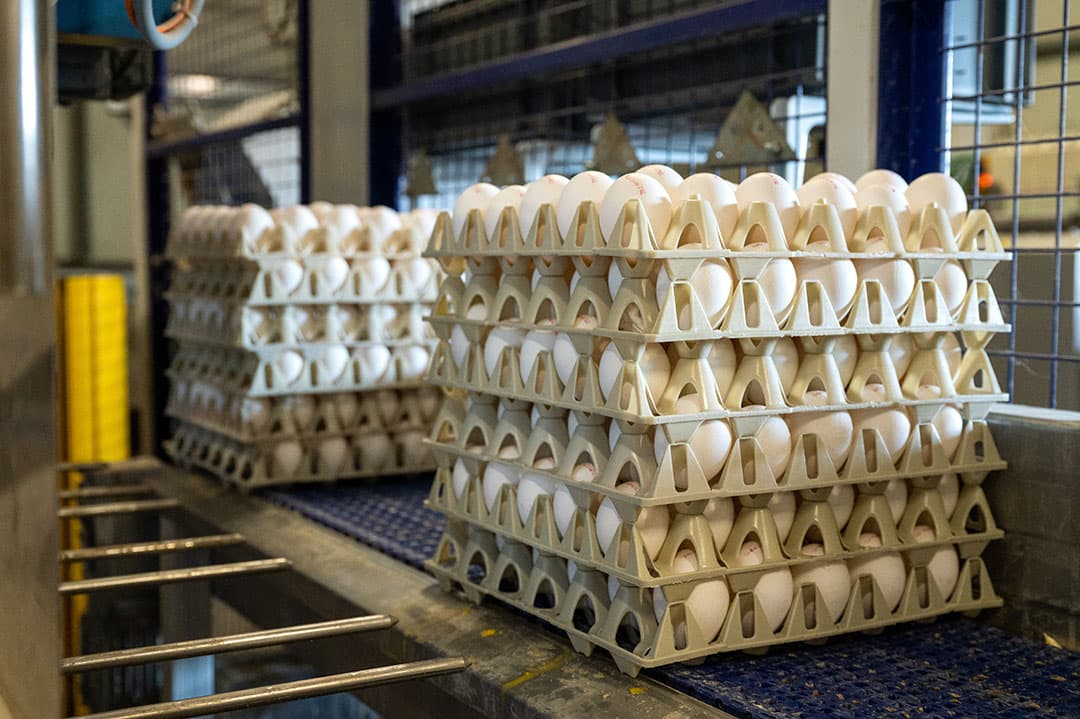 Beter voor Natuur & Boer ei