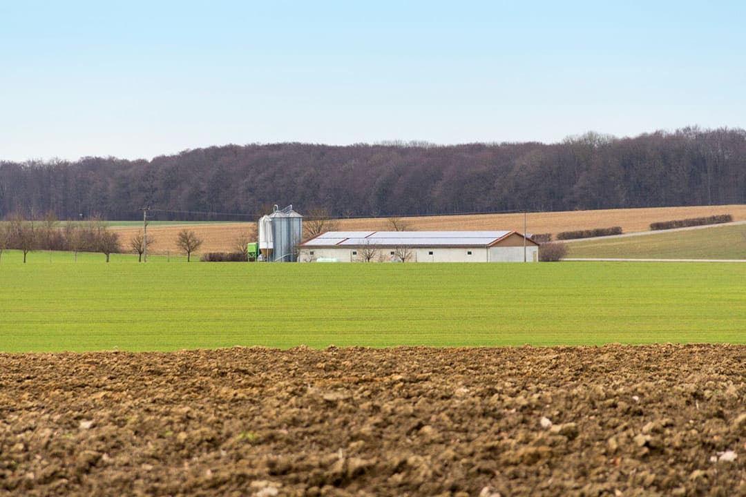 Akkerbouw vindt in alle deelstaten van Duitsland plaats, maar wel met verschillen. Granen worden vooral in het noordelijke laagland verbouwd. - Foto: Canva/Getty Images
