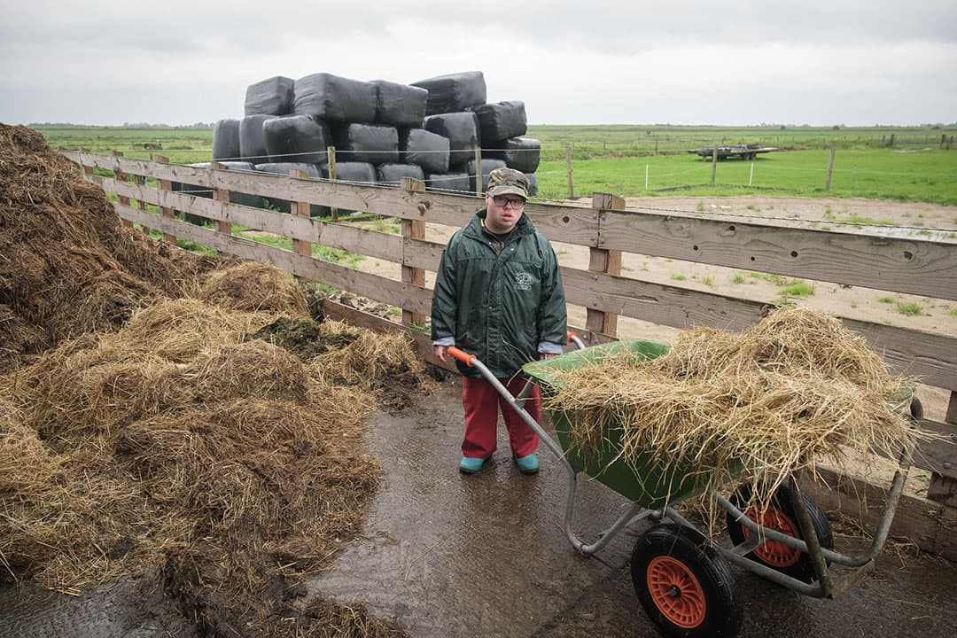 In de kleinschalige zorg, zoals op zorgboerderijen geboden wordt, krijgen cliënten professionele zorg en maken daar onderdeel uit van een mini-samenleving. Ze houden zich zo beter staande. - Foto: Guy Ackermans