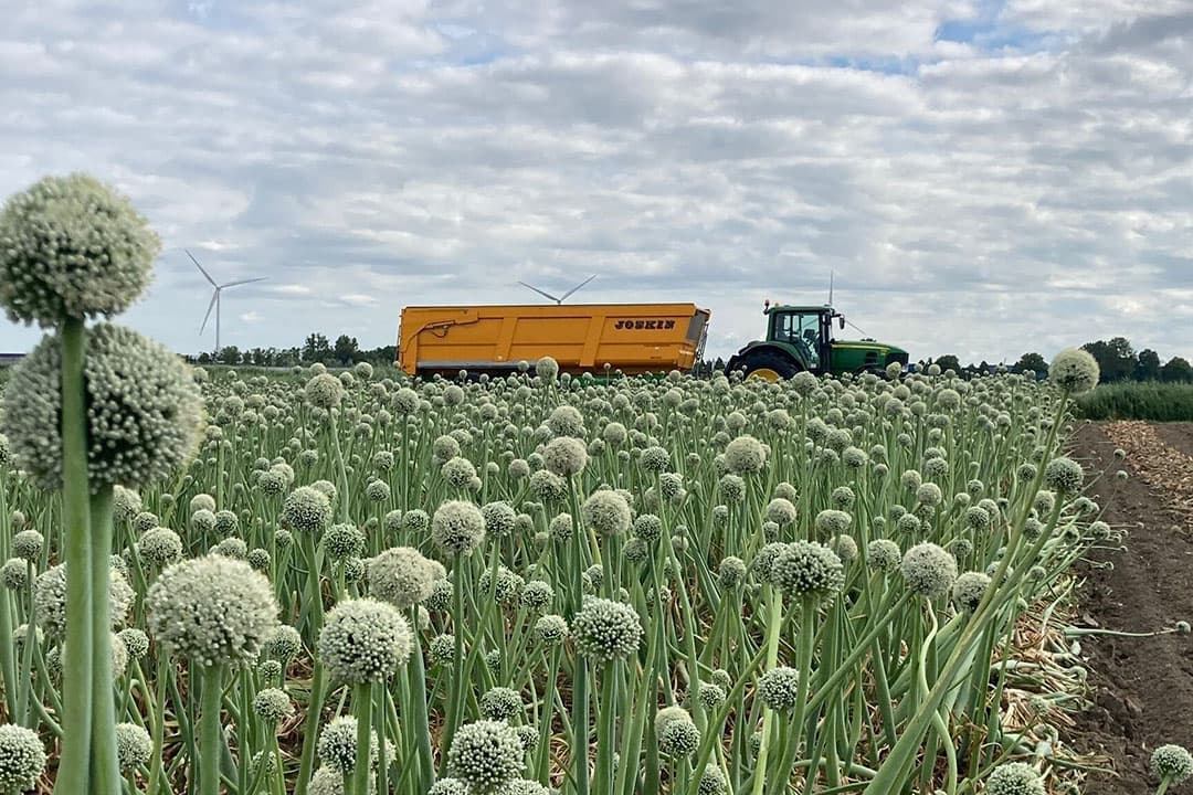 foto- videowedstrijd Boerderij