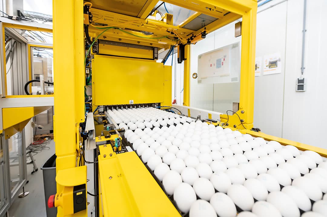 De Ella-machine van In Ovo kan in de broederij het geslacht van het kippenembryo in broedeieren identificeren. - Foto: In Ovo