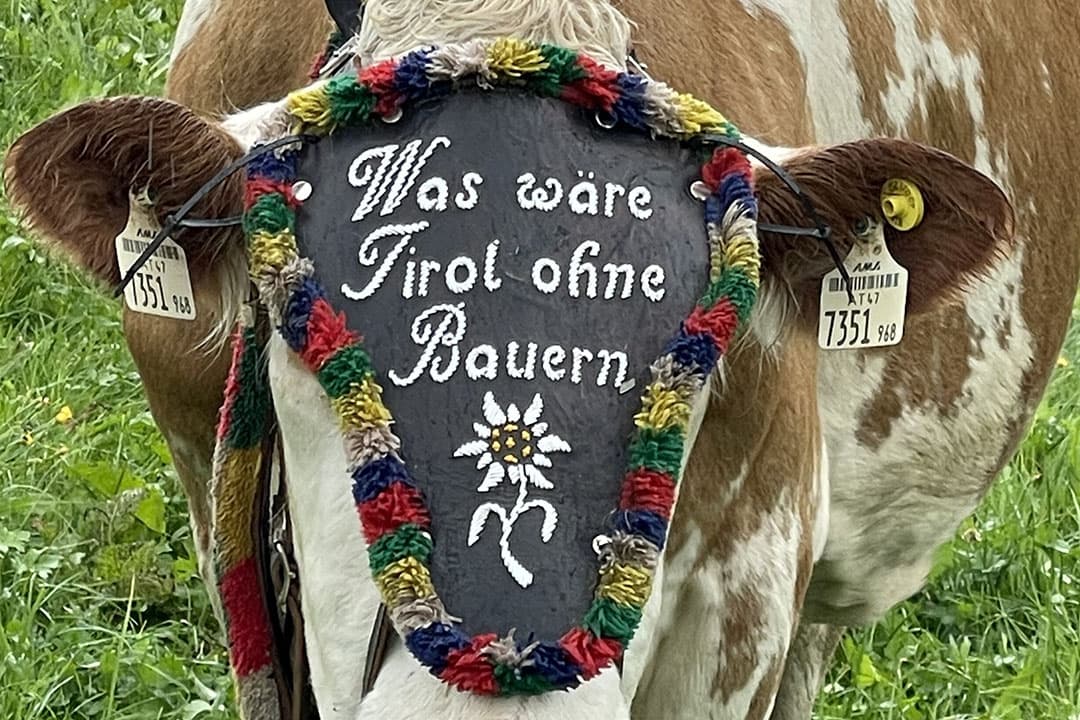 Bekijk foto's hoe veehouders traditie en innovatie verenigen, voor een duurzame toekomst aan de voet van de Alpen. - Foto’s: Rene de Wit en Katrin Kortenbruck.