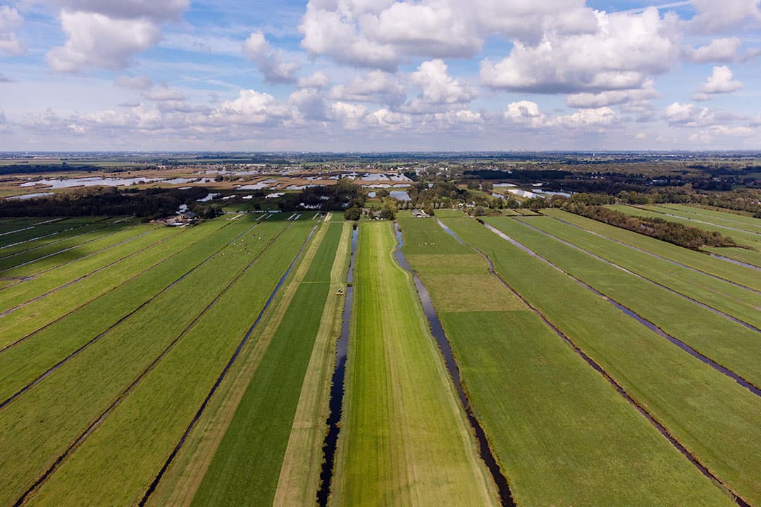 Boerenbedrijf aan de Meije bij de Nieuwkoopse Plassen. In de verte het Natura 2000 gebied Meije Graslanden. - Foto: Herbert Wiggerman