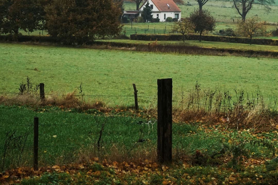 Overijssel meldt dat het bemestingsverbod van eind vorig jaar geen afname in de belangstelling van boeren voor het pachten van landbouwgrond heeft veroorzaakt. - Foto: Canva