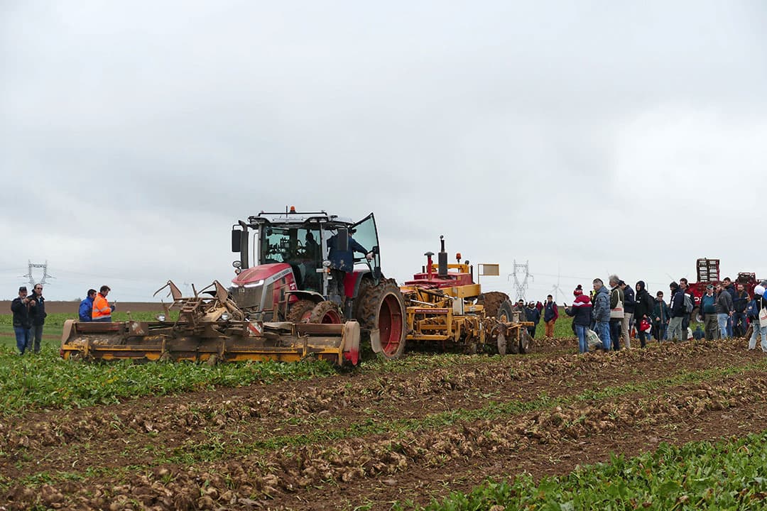 De Noord-Franse loonwerker-constructeur Soyez was met zijn twaalfrijïge zwadrooier ook dit keer weer een grote publiekstrekker op Betteravenir-Beet Europe. Hoewel inmiddels ook de Franse markt wordt gedomineerd door grote bunkerrooiers. - Foto's: Martin Smits