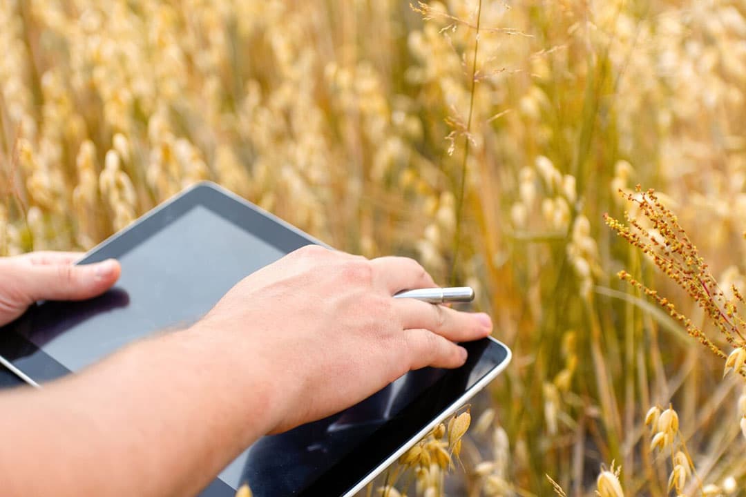 In oktober startte Agrifirm met een dashboard waarin telers en hun adviseur inzicht krijgen in de milieu-impact van hun teelten. - Foto: Canva