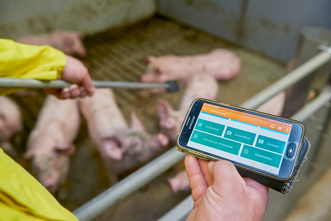 Werken aan verlaging van antibioticagebruik. - Foto: Van Assendelft