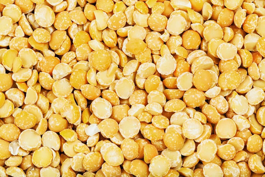 Gele erwten, een variant van de velderwt, zijn een veelzijdige peulvrucht die vaak gebruikt wordt in soepen, stoofschotels en als vleesvervanger. - Foto: Canva