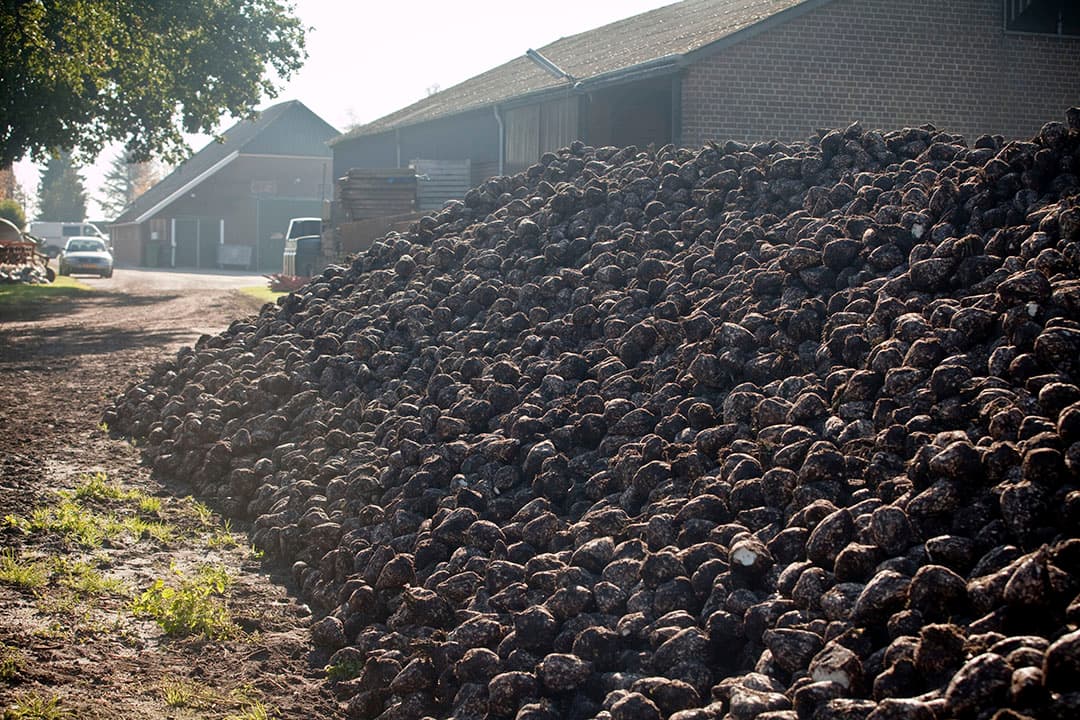 Landbouw en kalenderlandbouw