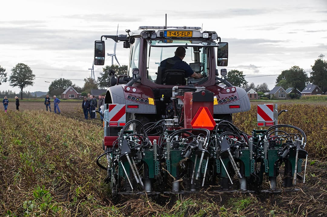 De Crown Crusher scheurt het aardappelloof aan stukken, waardoor de plant snel afsterft. De afstelling van deze machine vergt wel enige aandacht. - Foto's: Hans Banus