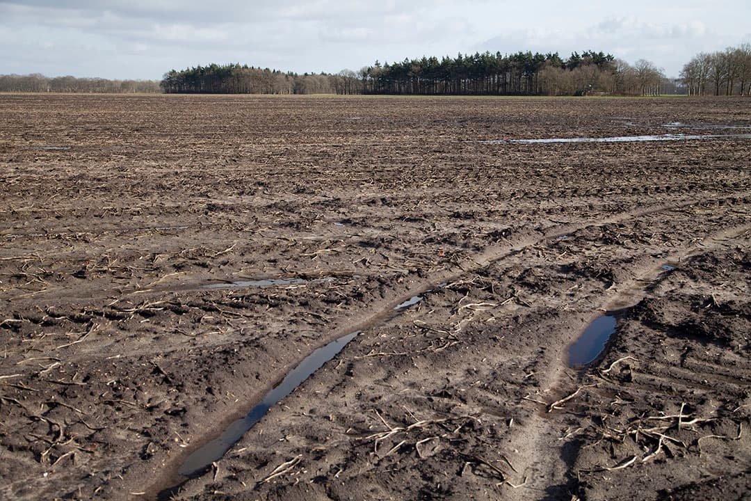 Foto: Jan Willem Schouten