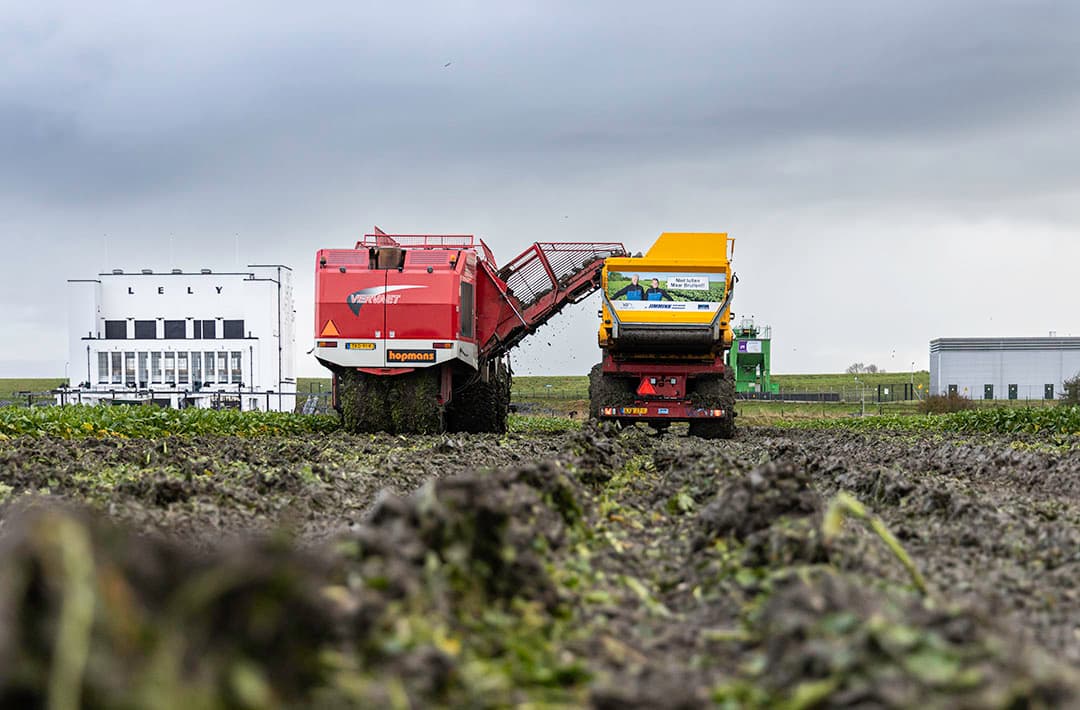 Suikerbietenoogst door loonbedrijf Hopmans in de Wieringermeer bij de IJsselmeerdijk. - Foto: Marcel Rob